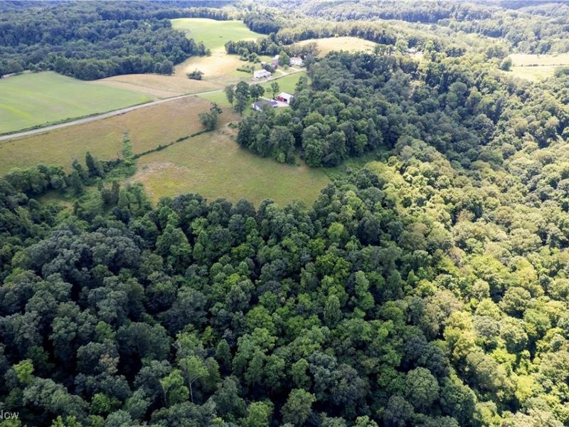 1292 Cinder Road SE, Bergholz, OH 43908 Photo 11