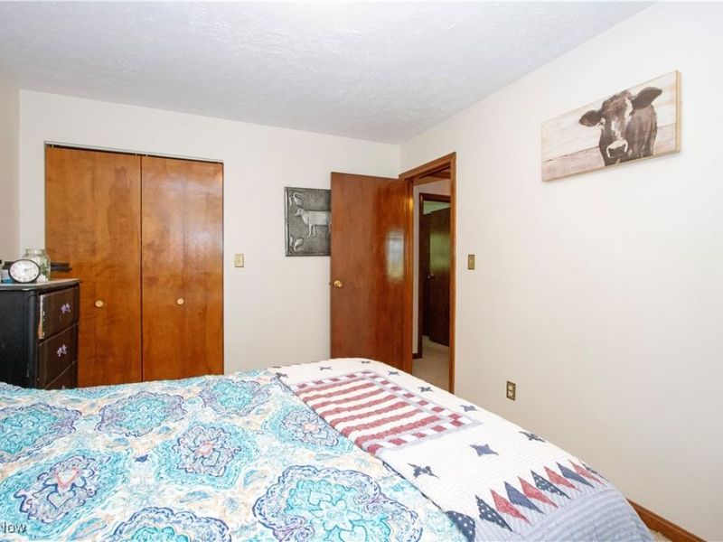 1292 Cinder Road SE, Bergholz, OH 43908 Photo 34