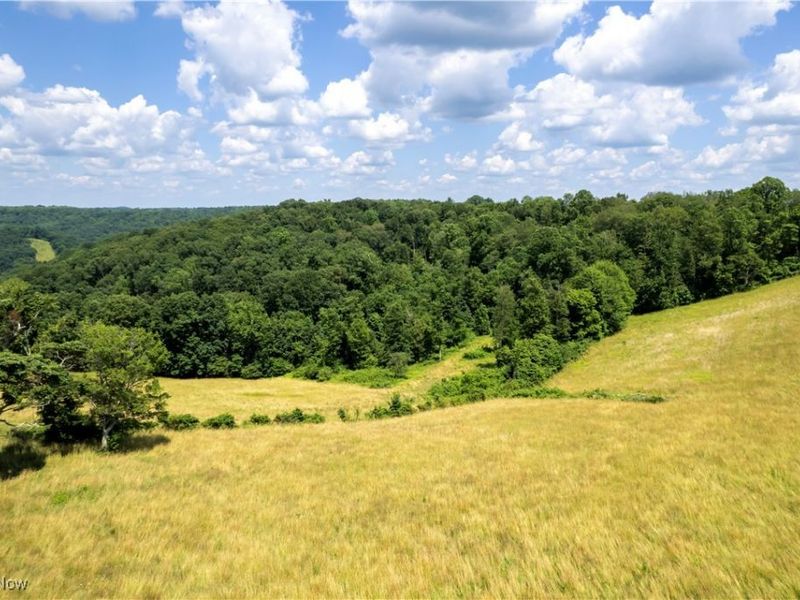 1292 Cinder Road SE, Bergholz, OH 43908 Photo 6