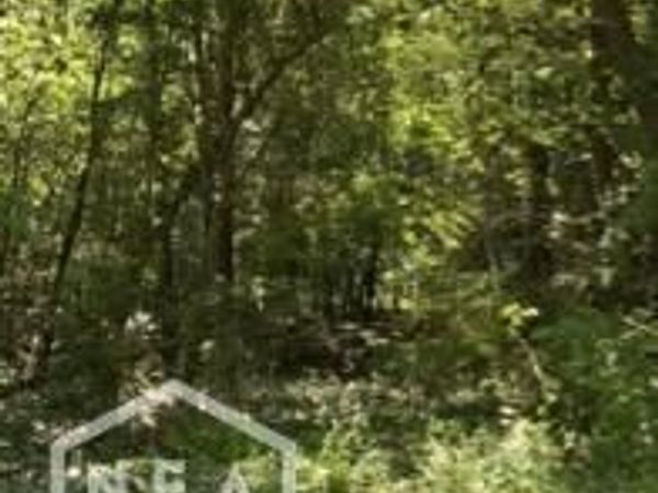 304 Greene 750 Road, Paragould, AR 72450