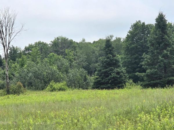 0 E M-48, Goetzville, MI 49736