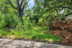 102 Hope Drive photo 4