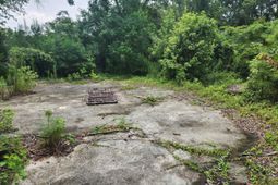 102 Hope Drive photo 4