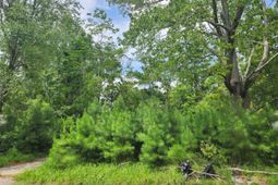 102 Hope Drive photo 4