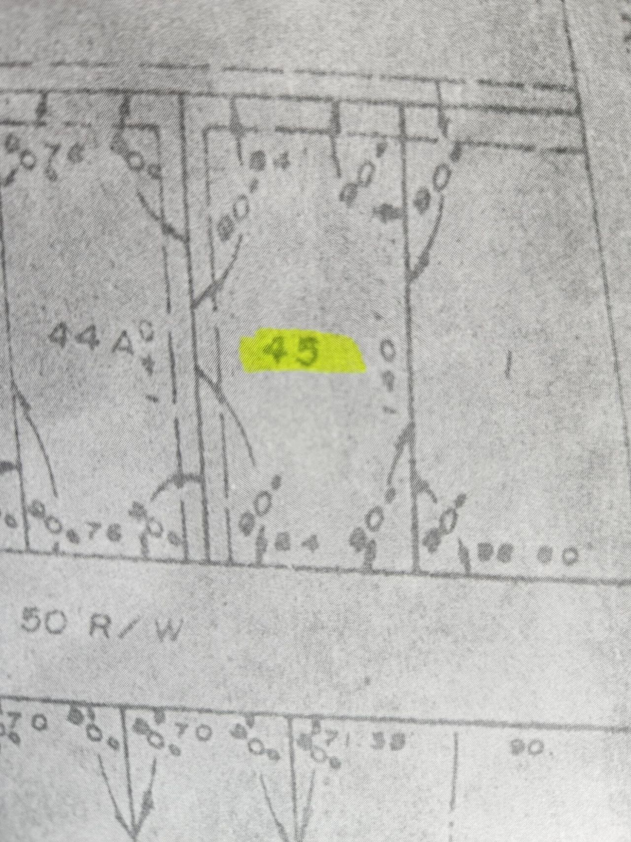 102 Hope Drive Photo 5