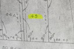 102 Hope Drive photo 4