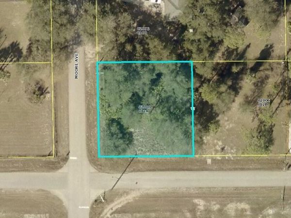 4001 E 20 STREET, ALVA, FL 33920