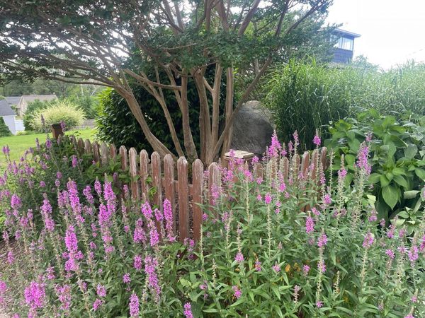 Beaver Drive, Kings Park, NY 11754