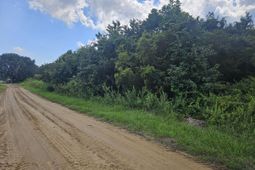 0 Jenkins Farm Road photo 4