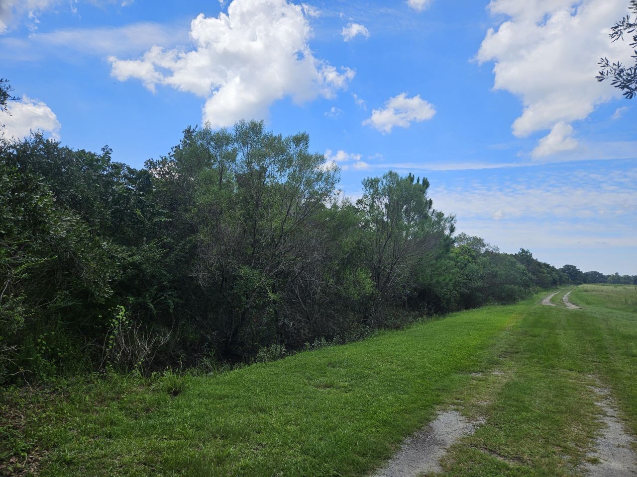 0 Jenkins Farm Road Photo 4