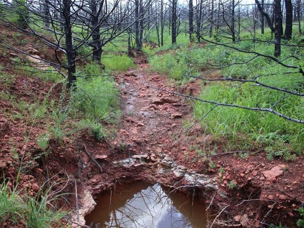 0000 E Seward Road, Meridian, OK 73058