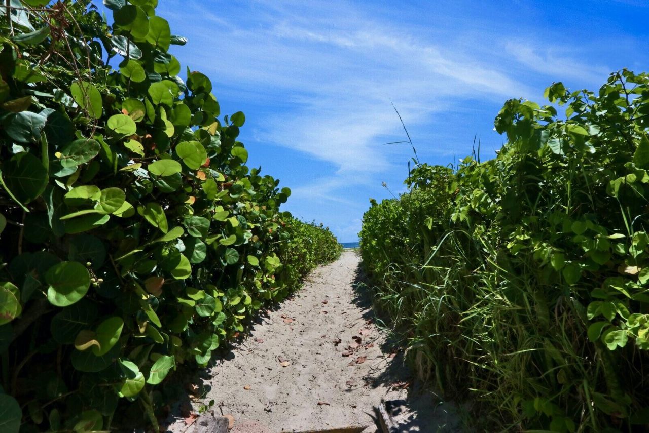 3600 N Ocean Drive, Unit 425, Singer Island, FL 33404 Photo