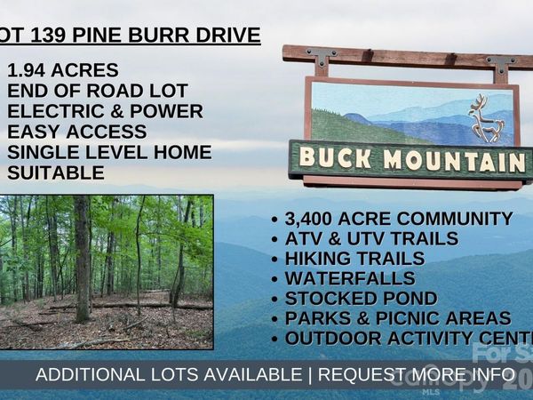 TBD Pine Burr Drive, Purlear, NC 28665
