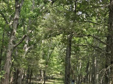 2607 Royalty Ridge Road, Willisburg, KY 40078