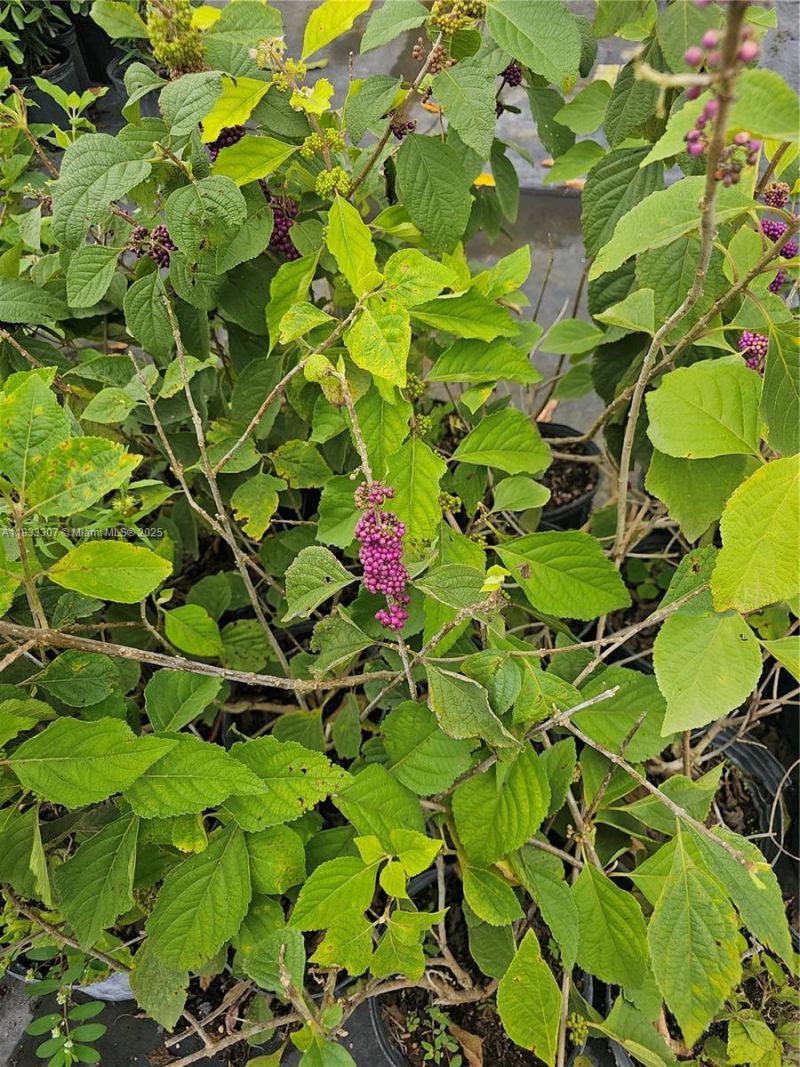 31875 SW 197th Ave, Homestead, FL 33030 Photo