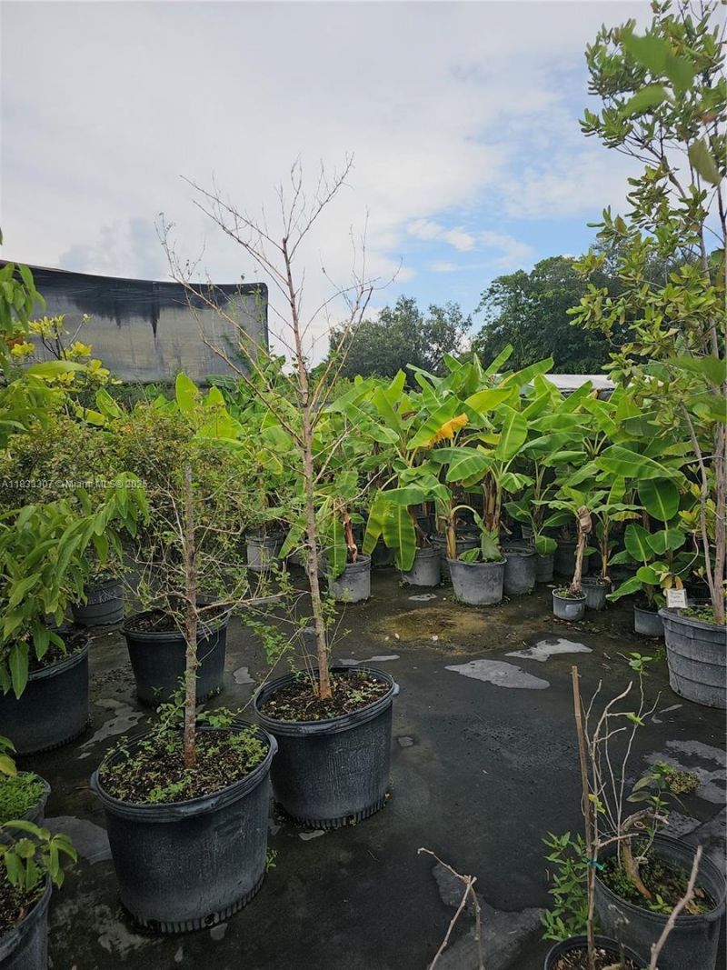 31875 SW 197th Ave, Homestead, FL 33030 Photo