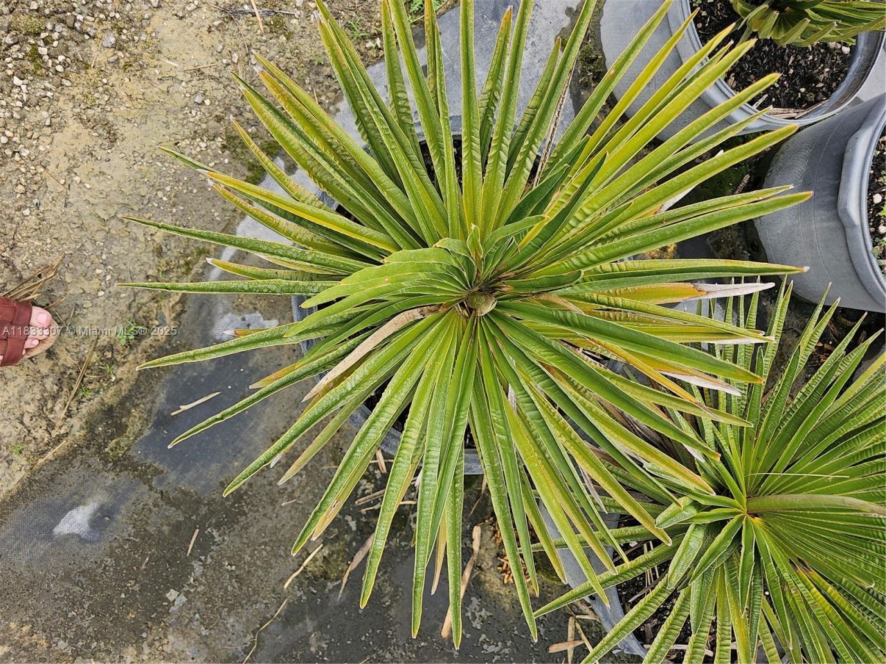 31875 SW 197th Ave, Homestead, FL 33030 Photo