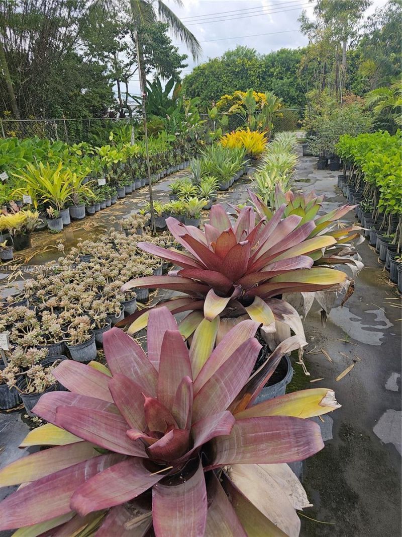 31875 SW 197th Ave, Homestead, FL 33030 Photo