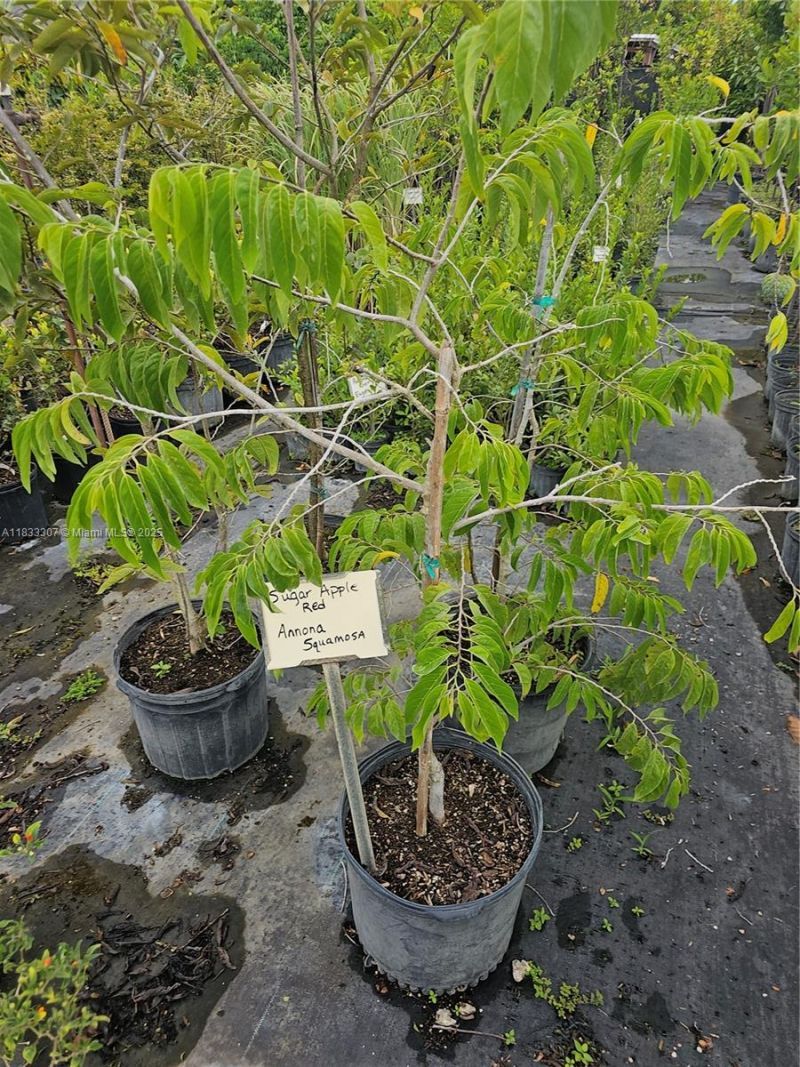 31875 SW 197th Ave, Homestead, FL 33030 Photo