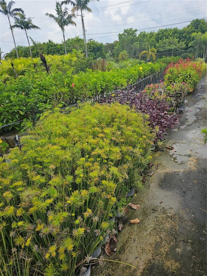 31875 SW 197th Ave, Homestead, FL 33030 Photo