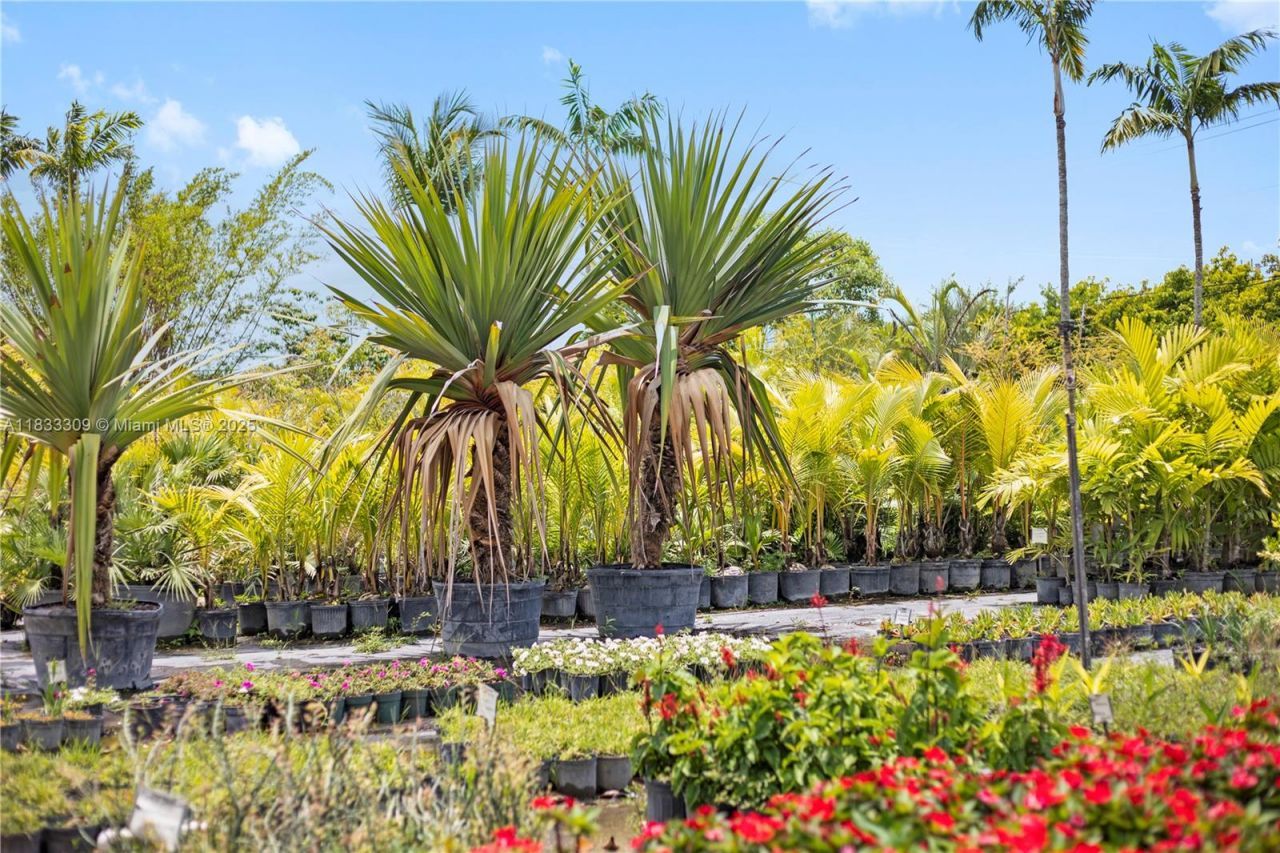 31877 SW 197th Ave, Homestead, FL 33030 Photo