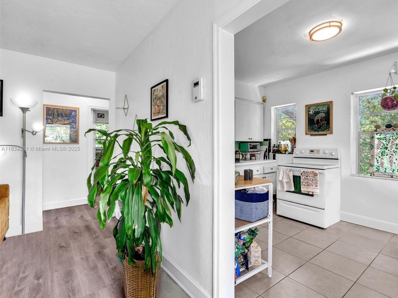 3210 E Elizabeth St, Miami, FL 33133 Photo