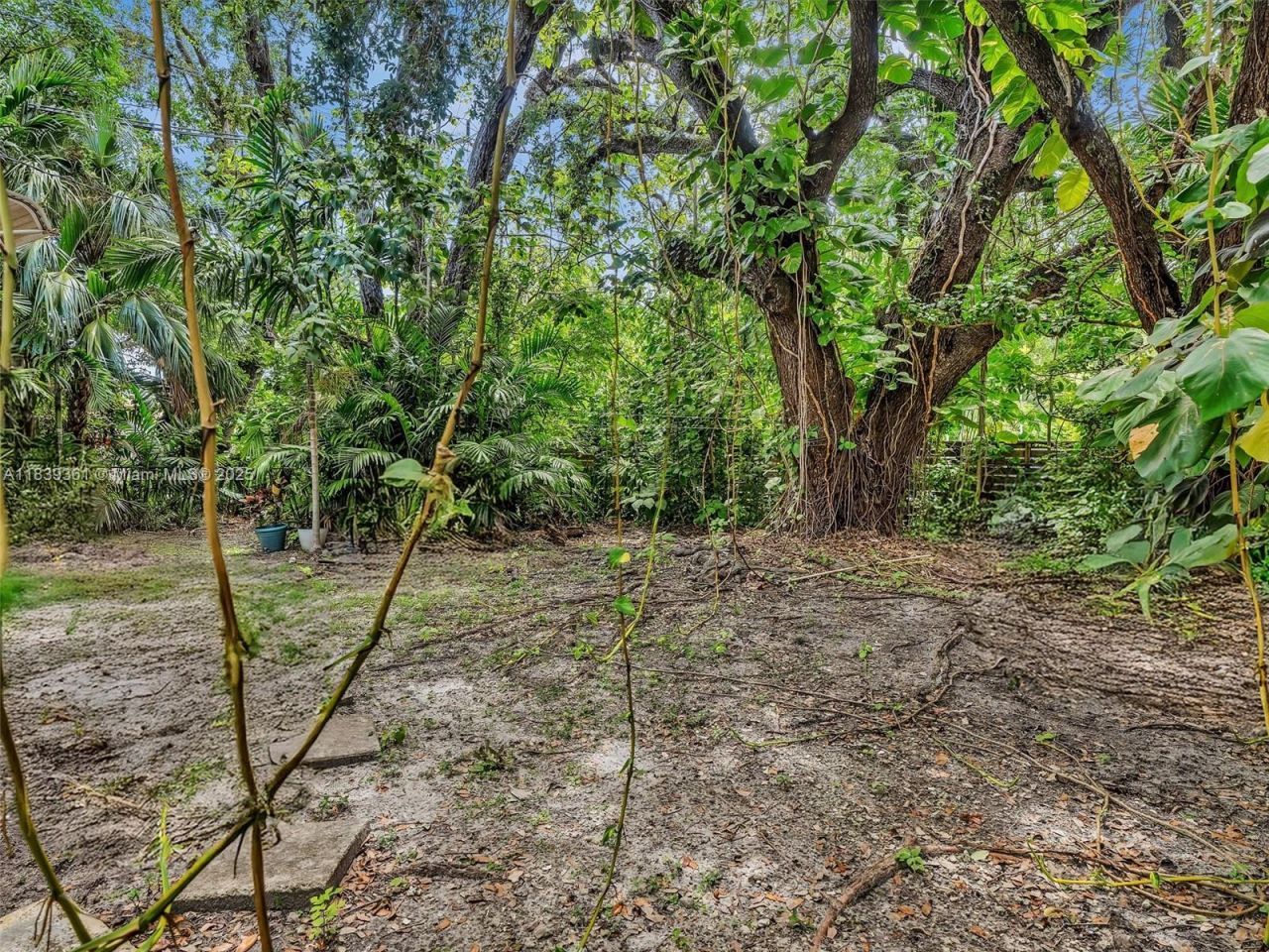 3210 E Elizabeth St, Miami, FL 33133 Photo