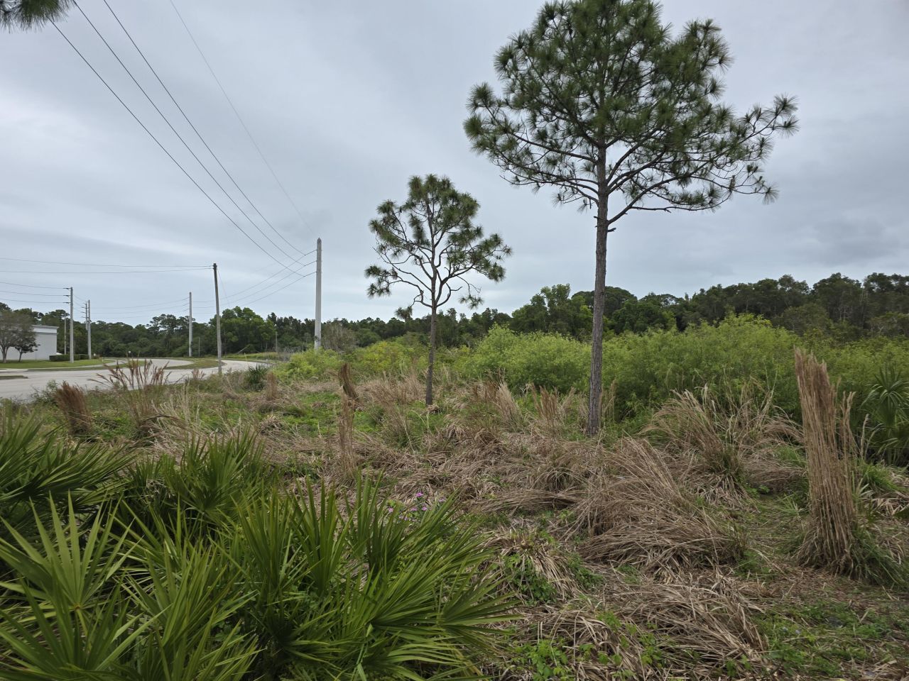 00 Prima Vista Boulevard, Port Saint Lucie, FL 34952 Photo