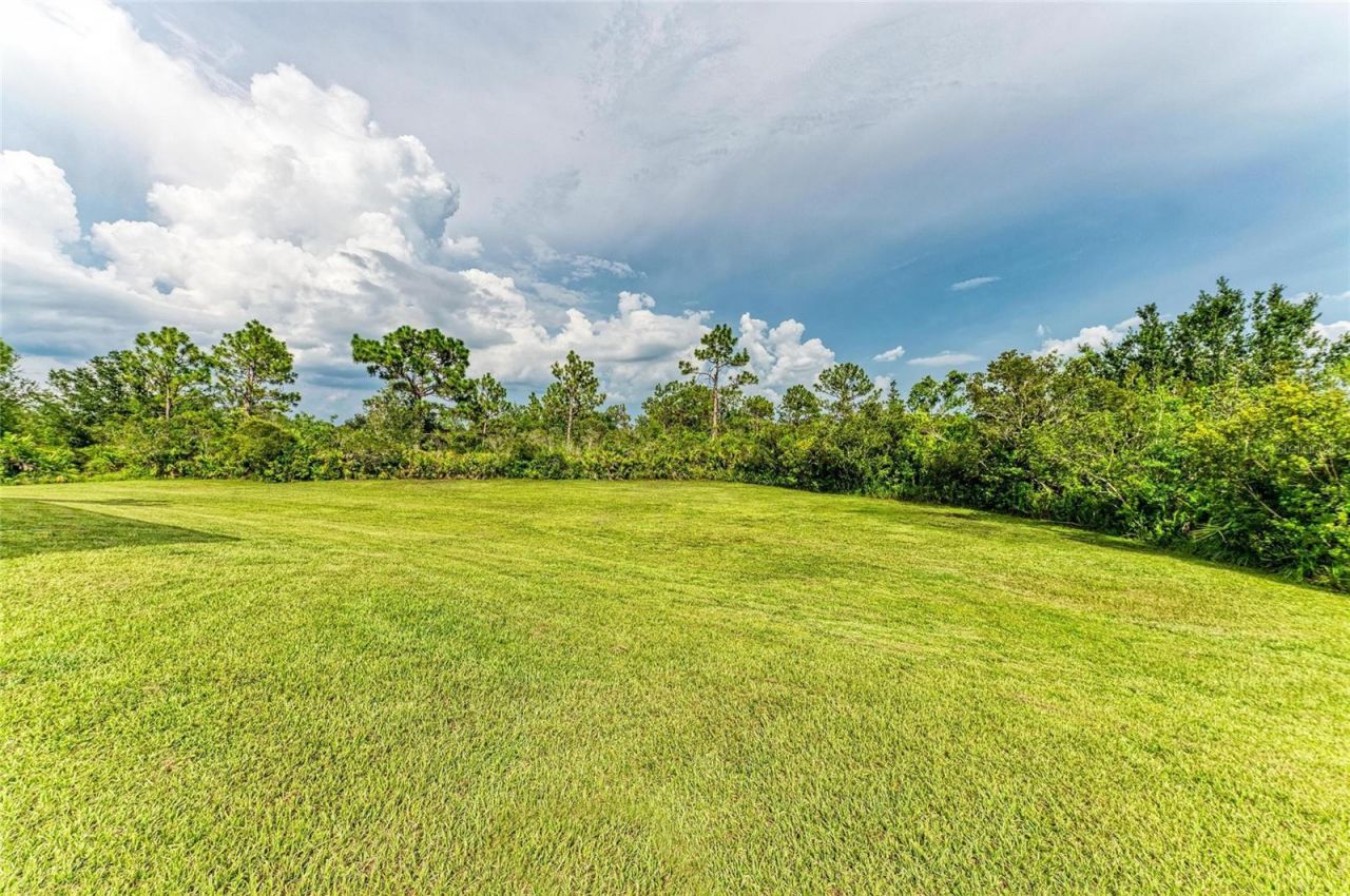 8331 241st Street E, Myakka City, FL 34251 Photo