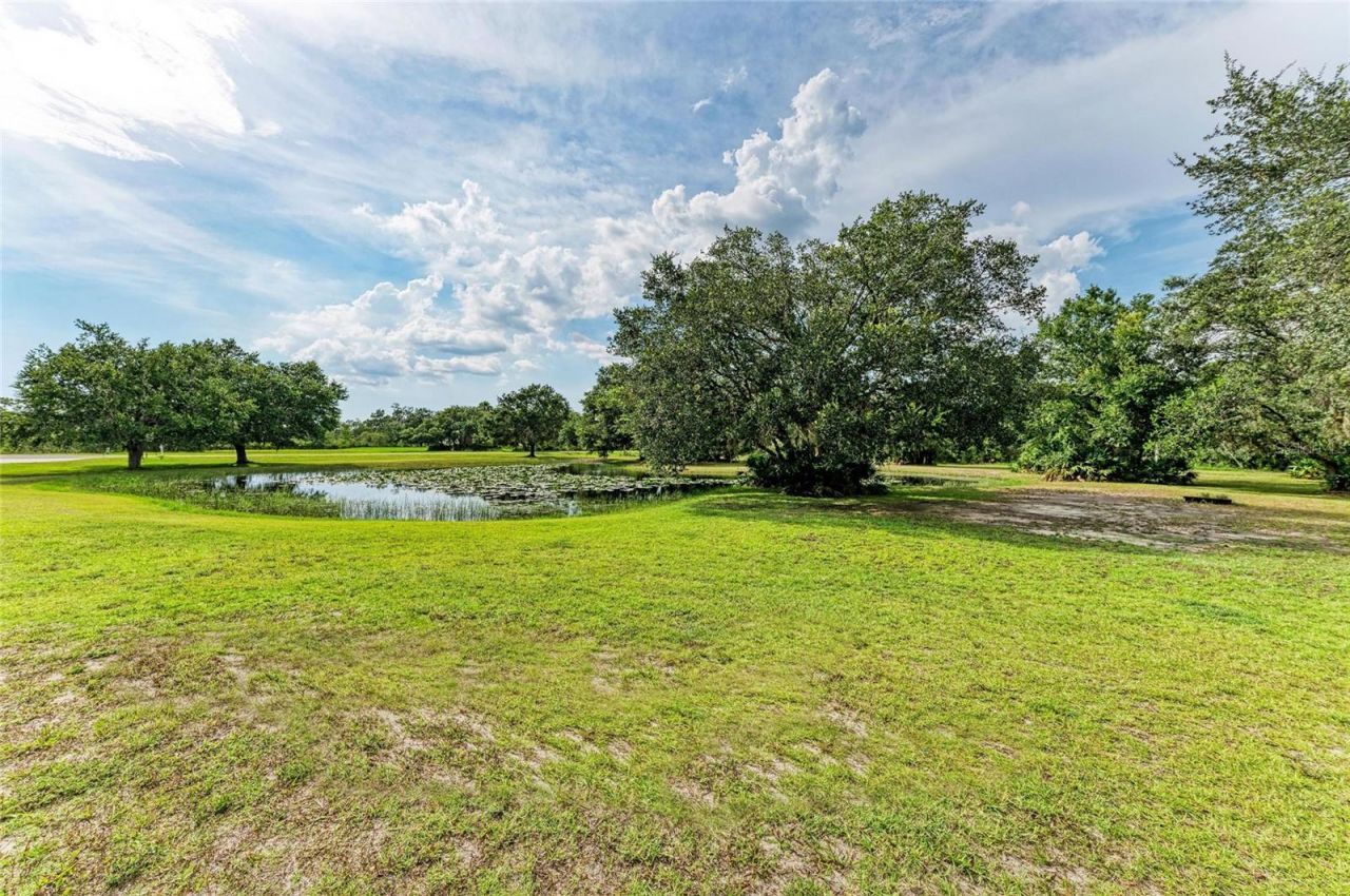 8331 241st Street E, Myakka City, FL 34251 Photo