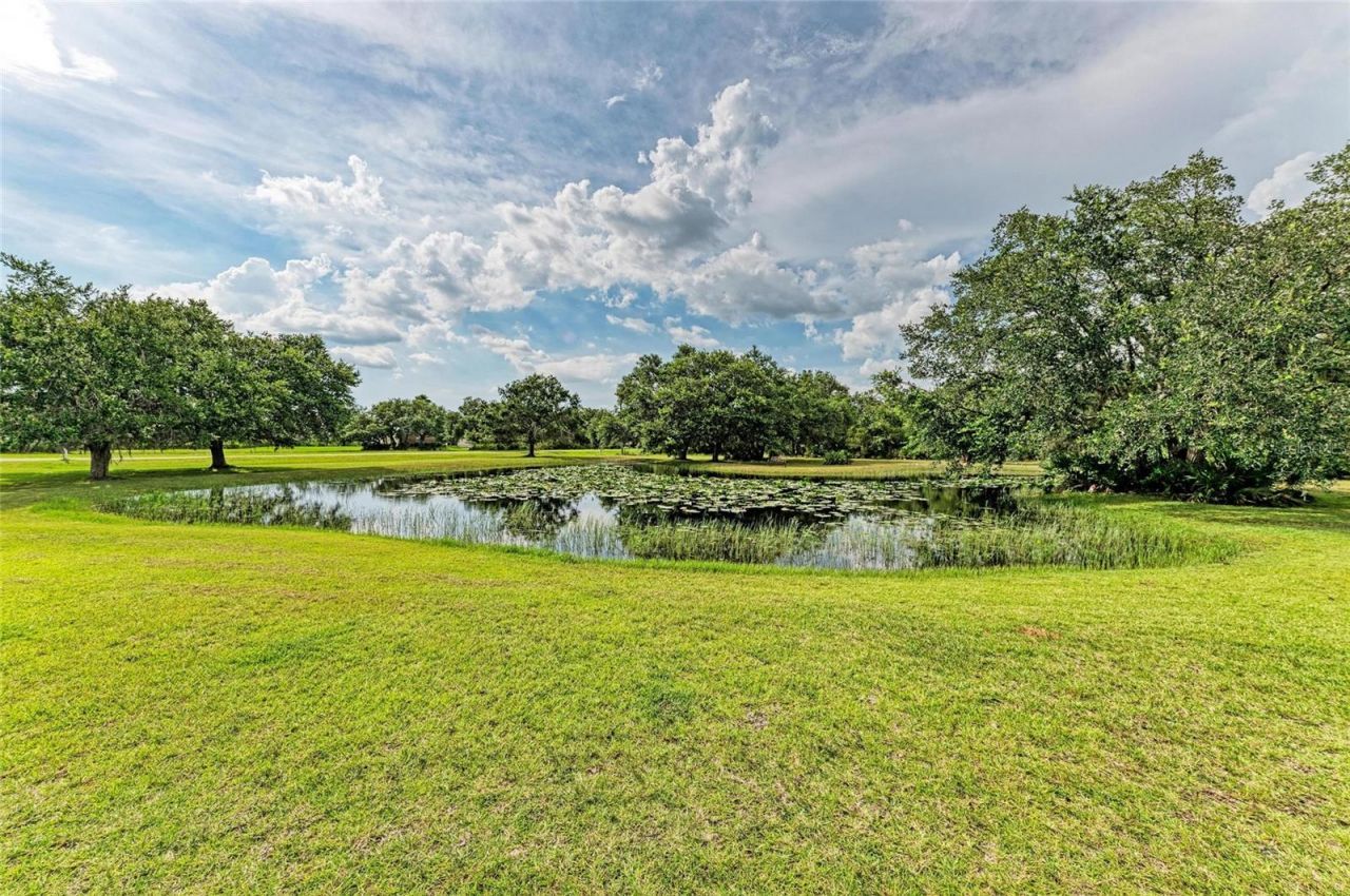 8331 241st Street E, Myakka City, FL 34251 Photo