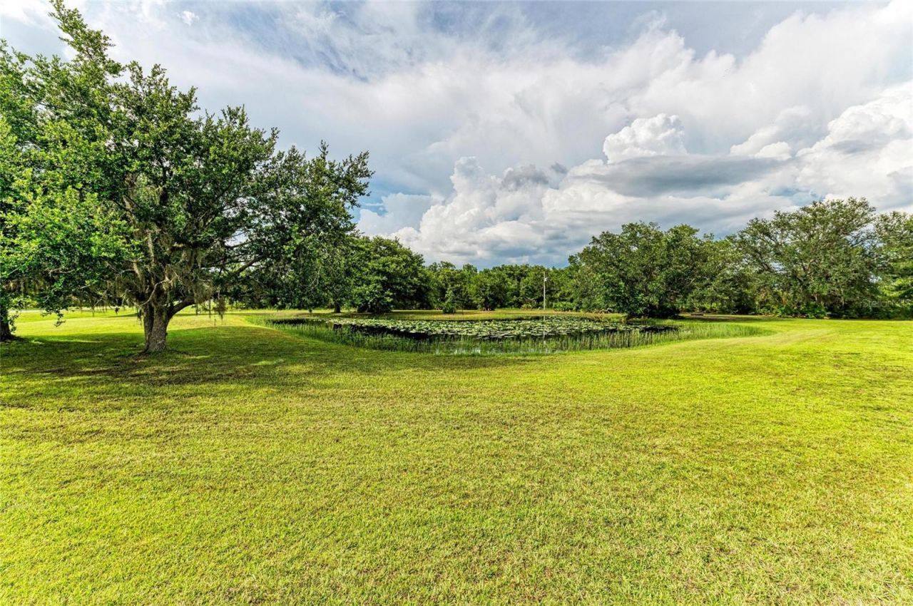 8331 241st Street E, Myakka City, FL 34251 Photo