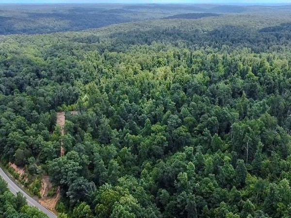 0 Buckfork Road, Linden, TN 37096