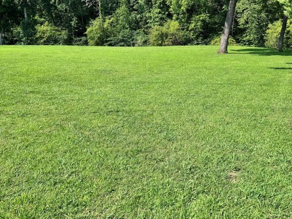 River Bank Rd, Pigeon Forge, TN 37863