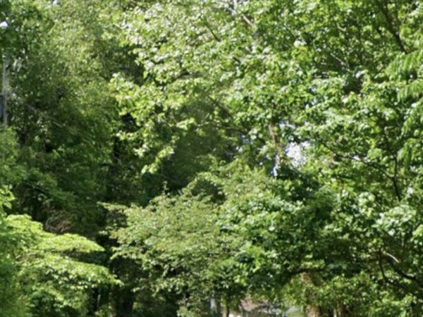 0 Tinkerbell Circle, Unit LOT 27, Flintstone, GA 30725