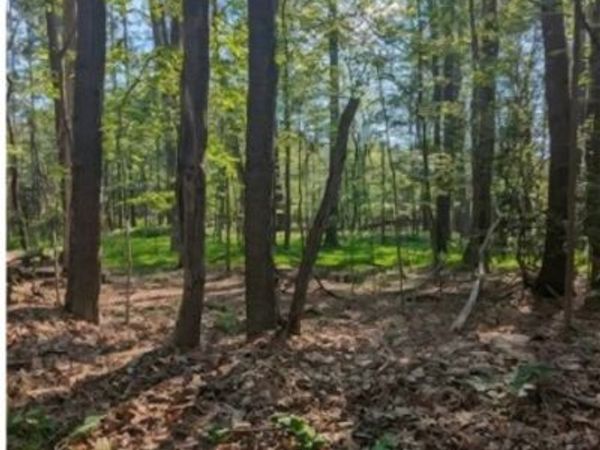 4 Horse Shoe Bend Rd , Acme, PA 15610