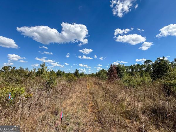 0 Highway 84, Unit 3, Homerville, GA 31634