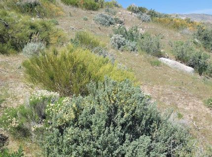 525 Prairie Dog, Reno, NV 89508 Photo