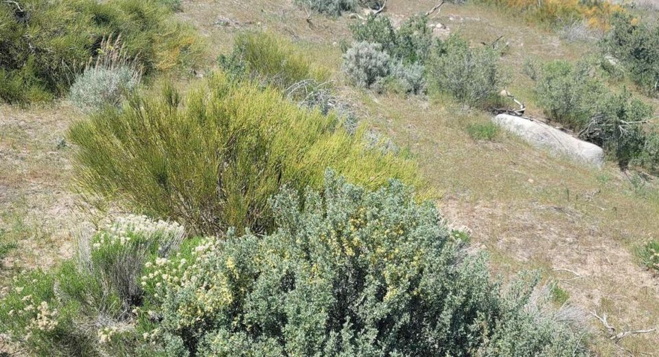 525 Prairie Dog, Reno, NV 89508 Photo