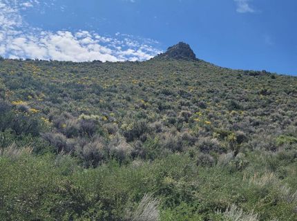 525 Prairie Dog, Reno, NV 89508 Photo