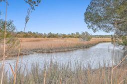 550 Towles Crossing Drive photo 4