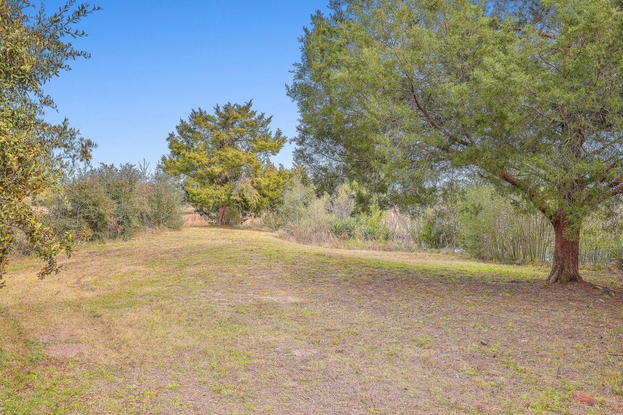 550 Towles Crossing Drive Photo 8