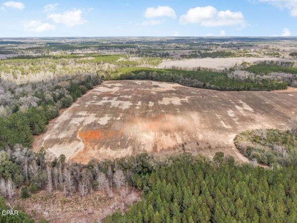 Lot 4 Bradley Road, Westville, FL 32464