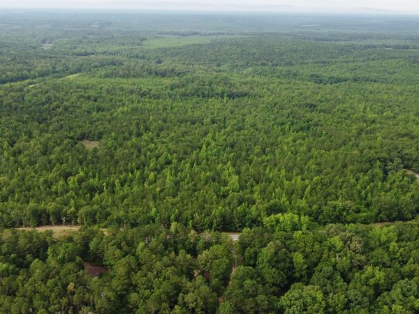 0 State Route 240 Road, Ideal, GA 31041