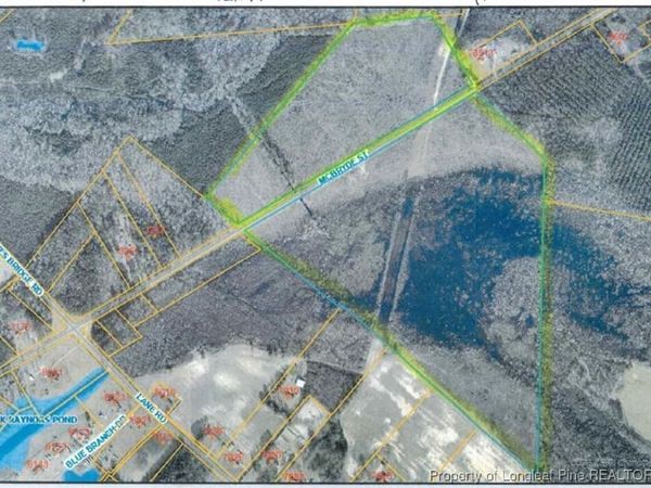 000 Mcbryde, Linden, NC 28356