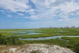 Jacks Circle Rd. photo 4