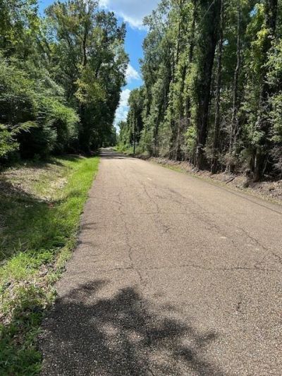 14181 E E. RUSSELL TOWN Road, Roseland, LA 70456