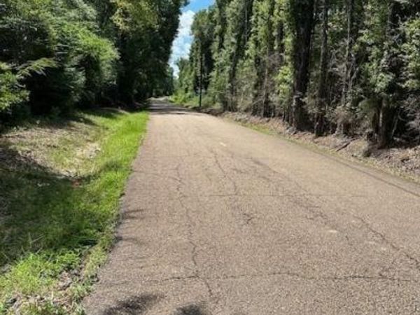 14181 E E. RUSSELL TOWN Road, Roseland, LA 70456