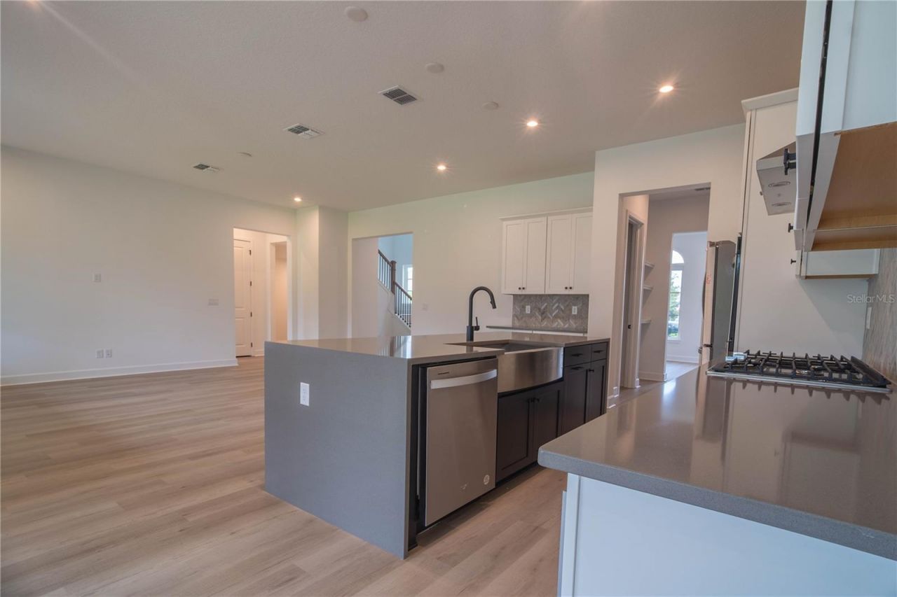 7493 Estuary Lake Loop, Celebration, FL 34747 Photo