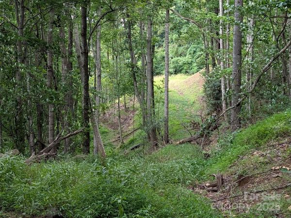 99999 Running Deer Lane, Mars Hill, NC 28754